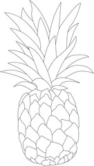 Pineapple silhouette. Pineapple with leaves. Pineapple fruits. Pineapple exotic tropical fruit. Natural product. Healthy eating and diet. Design posters, patches, prints on clothes, emblems.