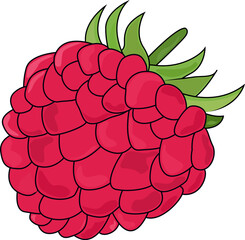 Red raspberry. Blackberry. Berries with green leaves. Natural product. Healthy eating and diet. Design of greeting cards, posters, patches, prints on clothes, emblems.
