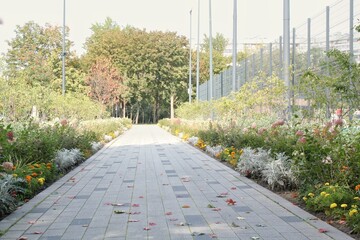 Pedestrian walkway in the city park with flowerbeds and plants. Modern city garden. Place for relaxation in big city. Landscaping. Urban square with garden against sky