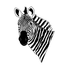 Zebra head. Zebra. Striped horse, African savannah animal, striped skin, linear pattern. Wild animal, cute character. Design of greeting cards, posters, patches, prints on clothes, emblems.