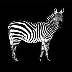 Striped horse, zebra, African savannah animal, striped skin, linear pattern. Wild animal on a white background. Design of greeting cards, posters, patches, prints on clothes, emblems.