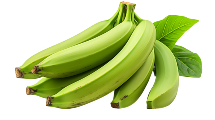 Plantain PNG, Cooking Ingredient, Tropical Banana, Plantain Image, Savory Snack, Ripe Plantain, Plantain Chips, Culinary Uses
