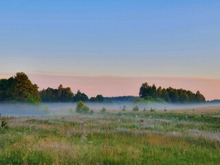 fog in the meadow at dawn