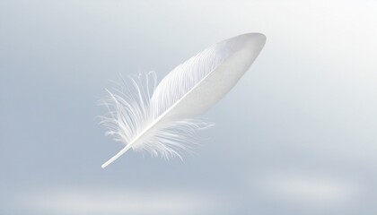 abstract white bird feather falling in the air float feather