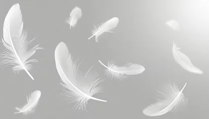 Rolgordijnen abstract white bird feathers falling in the air floating feathers softness of feather on gray background © Enzo