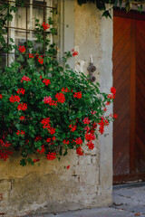 Fototapeta na wymiar flowers wreath on the door