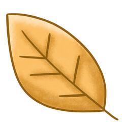 Leaf season illustration cute 