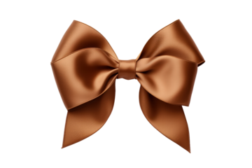 Silk brown ribbon with bow isolated