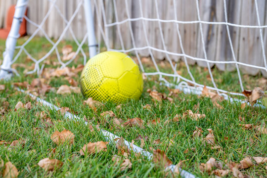 Selective focus on grass area in front of soccer ball and practice net in a fenced in backyard 