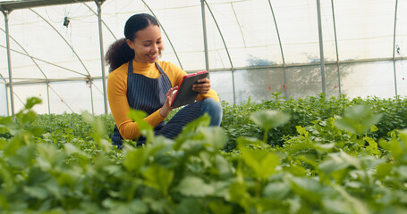 Multi-ethnic woman checks crop quality, records in digital tablet, farm analysis