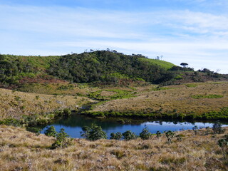 Horton Plains au Sri Lanka