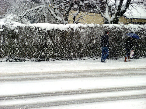 Frau mit blauem Schirm und der Mann hinter ihr gehen durch dicke Schneeflocken.  Wegen der dunklen Hecke sind sie kaum zu erkennen. Frische Fahrspuren im Schnee auf verschneiter Stra&szlig;e. Schneegest&ouml;ber