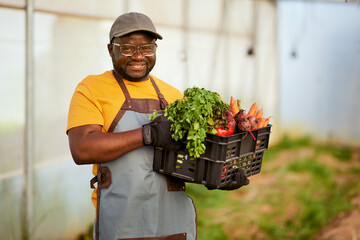 Black farmer holding crate full of vegetables in greenhouse, smiling