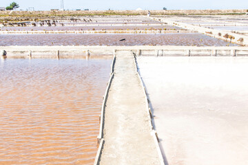 Salinas de Aveiro, salt pans of Aveiro