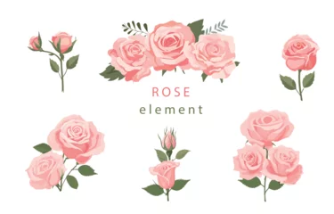 Fotobehang pink rose object element set with leaf.illustration vector for postcard,sticker © piixypeach