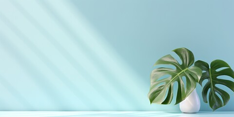 Pastel blue and white background with a monstera leaf shadow. Eco cosmetic product podium. Display case. Banner.
