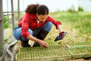 Multi-ethnic female farmer squatting down looking at plants, holding tablet