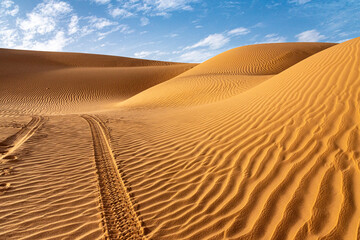Landscape of Erg Admer in the Sahara desert, Algeria. A view of the dunes and ripples dug by the wind in the sand. The tracks of a 4x4 jeep sink into the dunes - 704499336