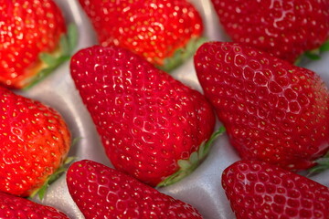 イチゴのパック詰め