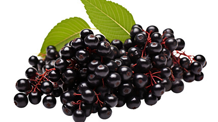 Elderberry, transparent background, high-resolution image, dark purple berries, medicinal fruit, elderberry clipart, botanical illustration, health and wellness design