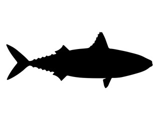 Mackerel Fish silhouette vector art white background
