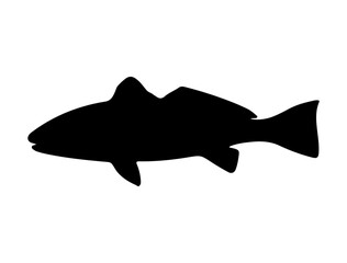 Red Drum Fish silhouette vector art white background