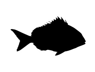 Snapper Fish silhouette vector art