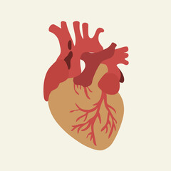 heart health design illustration