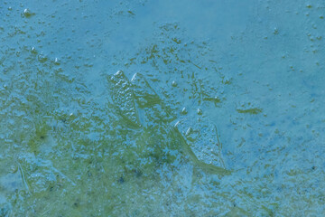 Beautiful frozen ice pond aerial view across snowy park landscape