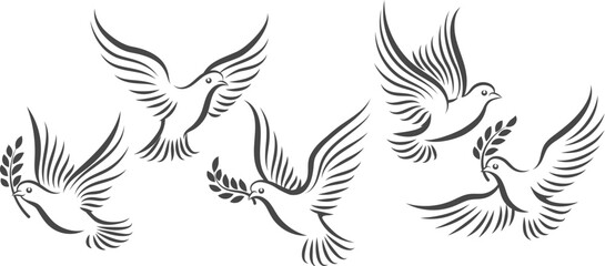 Fototapeta premium Flying doves sketch