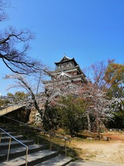 Fototapeta premium Hiroshima Castle through the trees