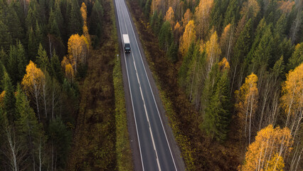 The truck is driving along the highway around the autumn forest