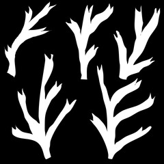 silhouettes of trees