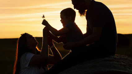 Silhouette of a happy family with a daisy for a mother in the hands of a child on a golden sunset...