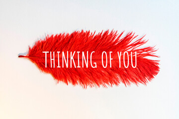 Thinking of you- card. Red ostrich feather.