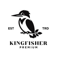 Kingfisher bird logo icon design illustration