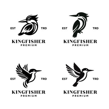 Kingfisher bird logo icon design illustration