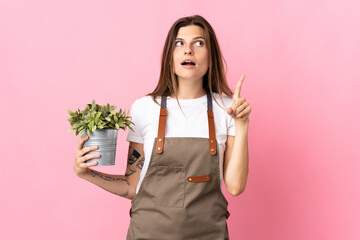 Gardener woman holding a plant isolated on pink background thinking an idea pointing the finger up