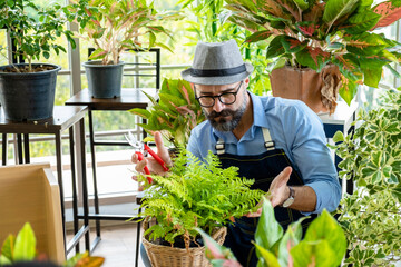 Hipster elderly men take care of the trees, pruning trees with scissors as a hobby of urban home gardening after sustainable retirement