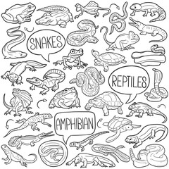 Reptiles Doodle Icons Black and White Line Art. Animals Clipart Hand Drawn Symbol Design.