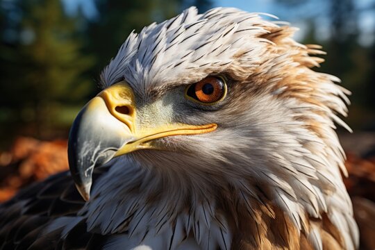 Closeup photo of young eagle aggressive and ready for hunting generative AI
