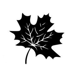 Autumn leaf. Autumn maple leaf isolated on a white background. Vector illustration