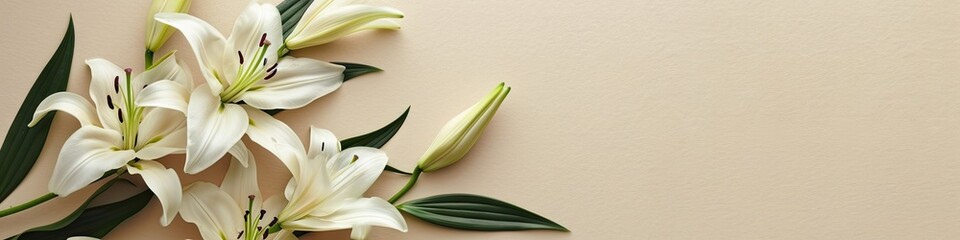 White lilies flowers bouquet on simple beige background. Frame with copy space for text. Top view, flat lay. Springtime beauty, spring floral elegance