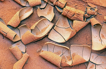 Close-up of dried mud pattern, Buckskin Gulch Slot Canyon, Arizona, USA