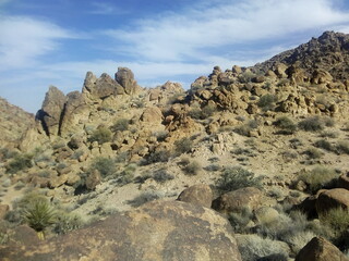 Durch die Wüste Kaliforniens