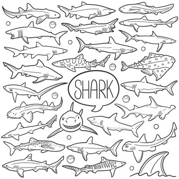 Shark Doodle Icons Black and White Line Art. Animals Clipart Hand Drawn Symbol Design.
