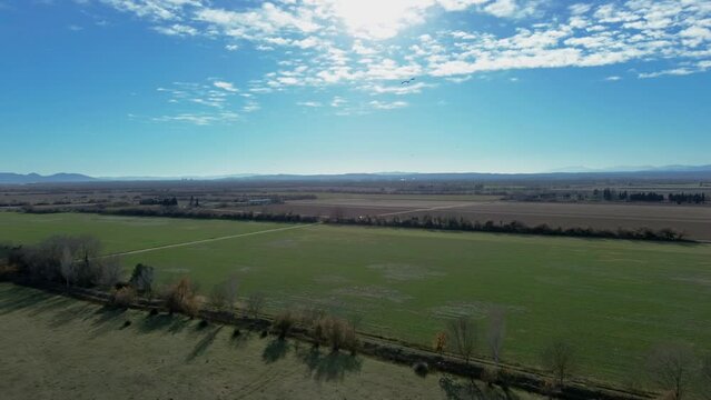 Toma con dron de campos verdes de c&eacute;sped y campos secos de conreo de tierra al fondo separados por una l&iacute;nea de &aacute;rboles, en un d&iacute;a despejado y p&aacute;jaros volando frente la c&aacute;mara.
