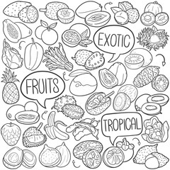 Fototapeta na wymiar Tropical Fruits Doodle Icons Black and White Line Art. Exotic Food Clipart Hand Drawn Symbol Design.
