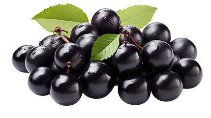 
Acai berry, transparent background, high-resolution image, superfood, dark purple color, acai berry clipart, antioxidant-rich fruit illustration