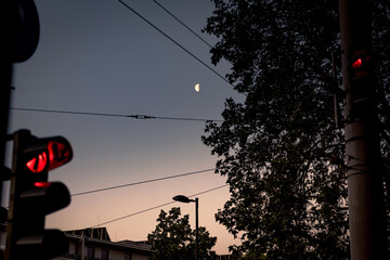 Traffic light at sunrise